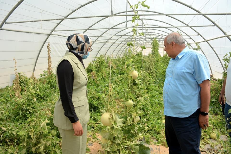 محافظ الوادي الجديد يتفقد مركز بحوث الصحراء بالخارجة 