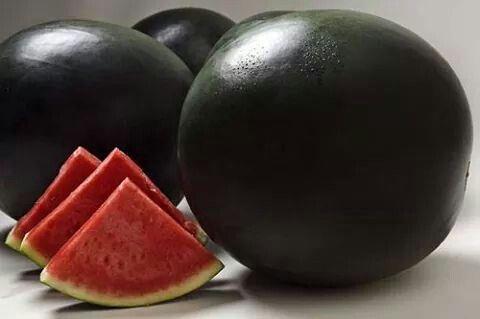 البطيخ الأسود