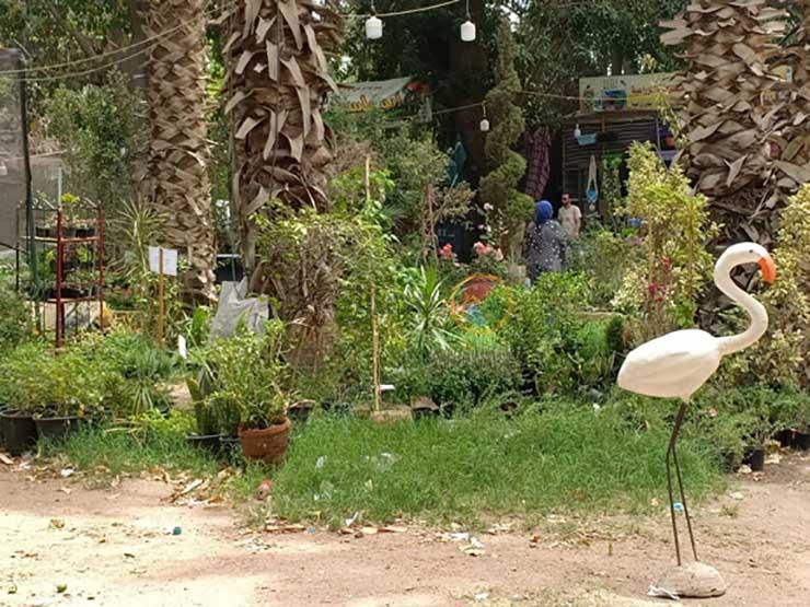 إقبال كثيف من المواطنين على حديقة الأورمان في ثاني أيام العيد