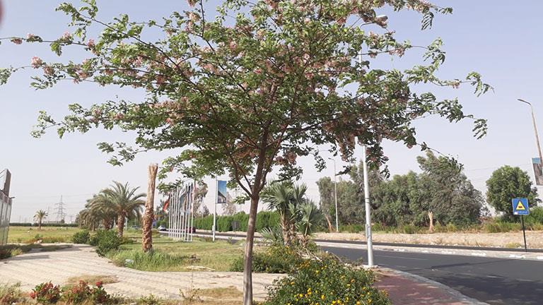 العظمى 41 .. تعرف على حالة الطقس اليوم السبت في أسوان العظمى 41 .. تعرف على حالة الطقس اليوم السبت في أسوان
