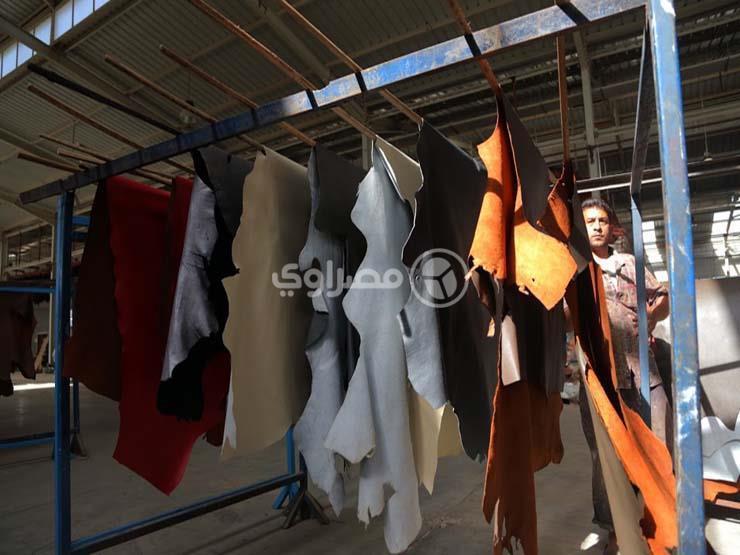 رئيس الشعبة: مستلزمات الإنتاج ترفع أسعار الجلود هذا العام رئيس الشعبة: مستلزمات الإنتاج ترفع أسعار الجلود هذا العام