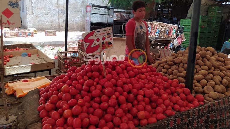 أسعار الخضروات والفاكهة في سوهاج 