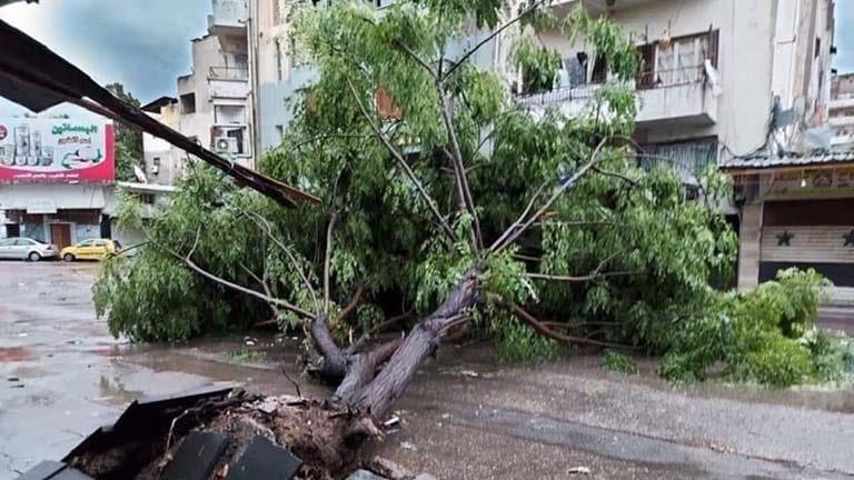 انهيارات وتضرر طرق وإتلاف محاصيل جراء الطقس السيء في لبنان انهيارات وتضرر طرق وإتلاف محاصيل جراء الطقس السيء في لبنان