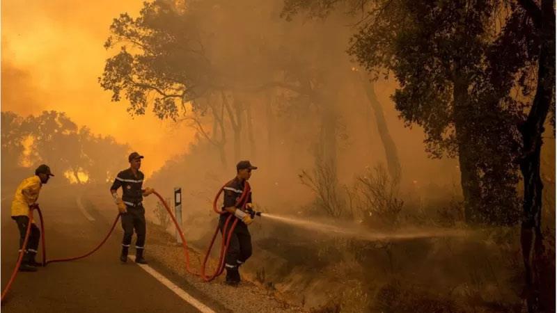 رجال الإطفاء يكافحون حريق شب في غابة بالقرب من مدينة القصر الكبير المغربية في منطقة العرائش