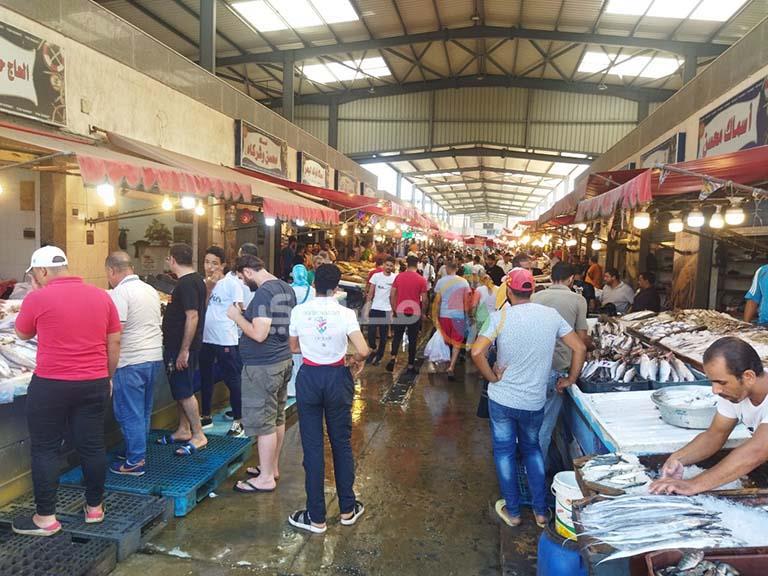 أسعار الأسماك في بورسعيد