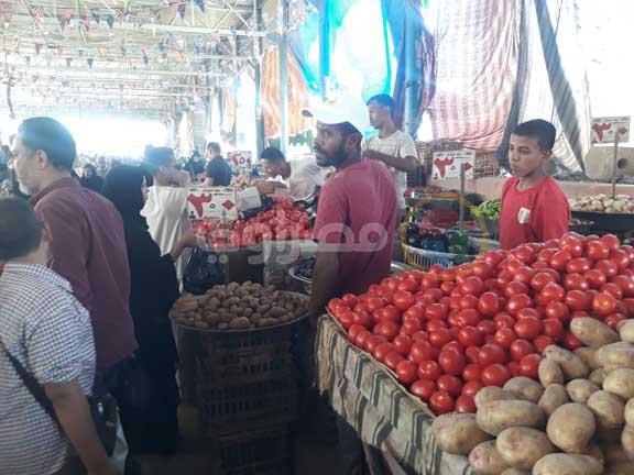 انخفاض الطماطم.. أسعار الخضروات والفاكهة اليوم في سوق العبور انخفاض الطماطم.. أسعار الخضروات والفاكهة اليوم في سوق العبور