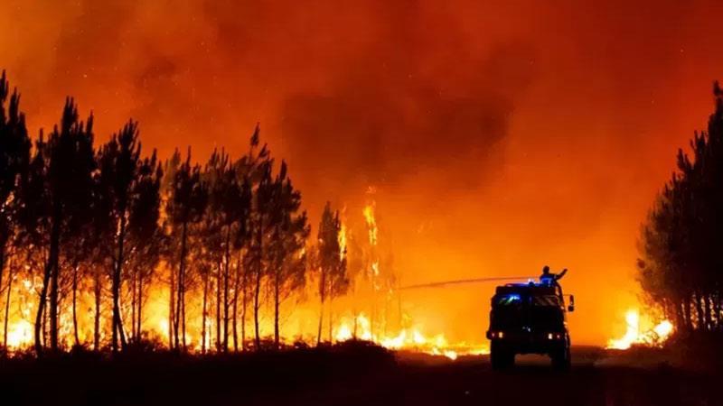 موجات الحر والجفاف وحرائق الغابات تضرب أوروبا 