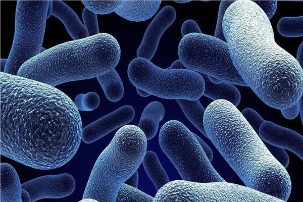 تفاصيل عقار جديد يحارب 300 نوع بكتيريا مقاومة للمضادات الحيوية