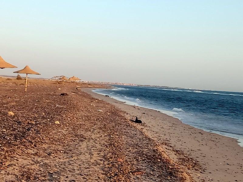 الشاطئ العام بمدينة طور سيناء (1)