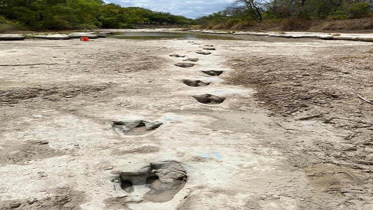 الجفاف في تكساس يُظهر آثار أقدام ديناصور