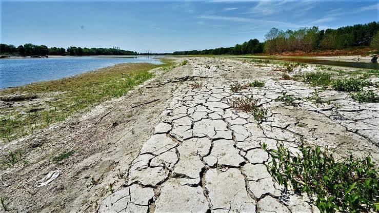 انخفاض منسوب الأنهار والجفاف في أوروبا 