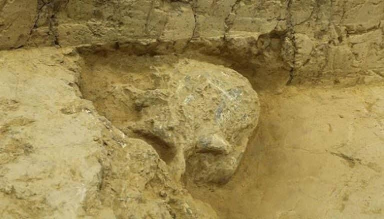 كشف مثير.. العثور على جمجمة بشرية عمرها مليون سنة في الصين (صورة)