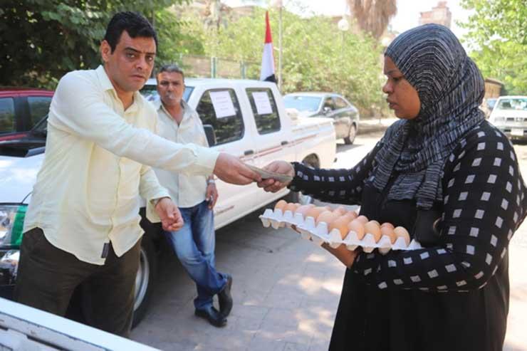 وزارة الزراعة تطرح كميات من بيض المائدة بأسعار مخفضة للمواطنين
