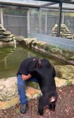 شمبانزي يعانق ويقبل رجل يبكي في حديقة حيوان