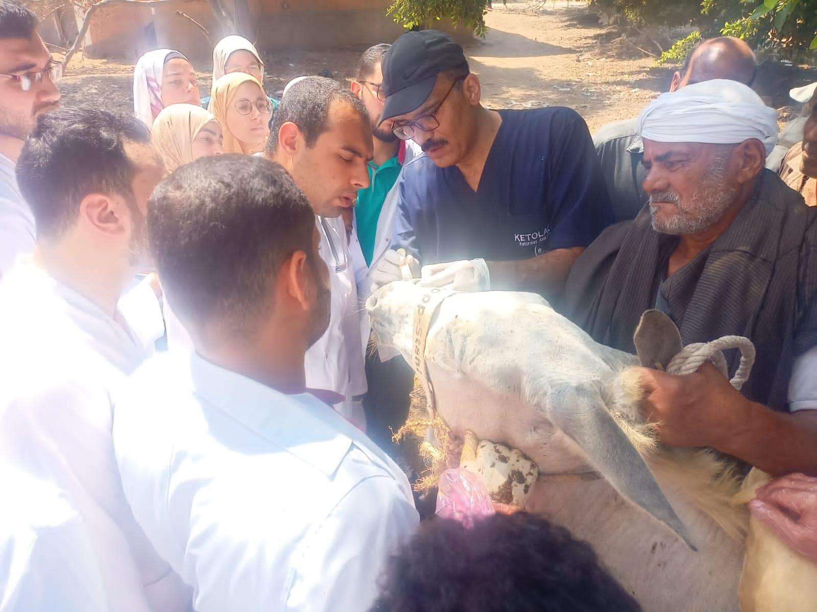 قافلة بيطرية في محافظة دمياط