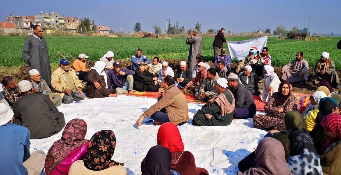 مدرسة حقلية إرشادية لمزارعي القمح بالبحيرة 