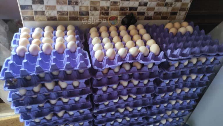 أسعار البيض في المزرعة اليوم الجمعة