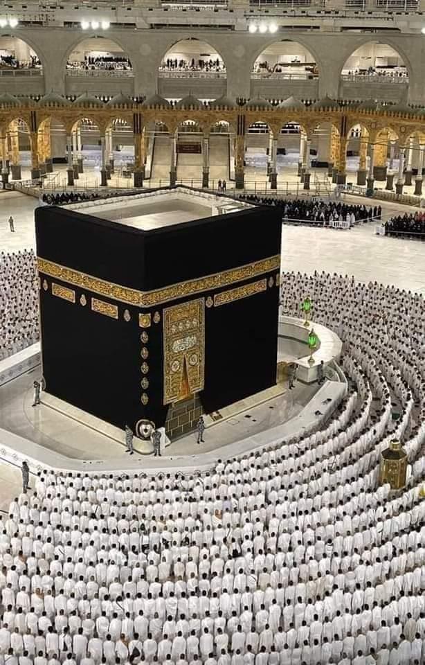 التقديم اليوم.. ضوابط التقدم على مشرفي رحلات حج الجمعيات الأهلية التقديم اليوم.. ضوابط التقدم على مشرفي رحلات حج الجمعيات الأهلية