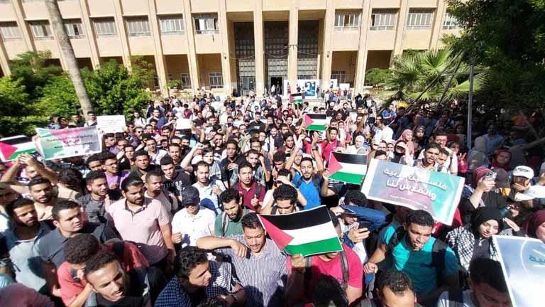 طلاب هندسة الإسكندرية يرفعون أعلام مصر وفلسطين (2)