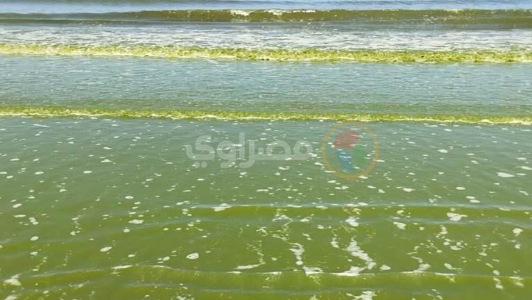 لون مياه البحر خضراء في بورسعيد