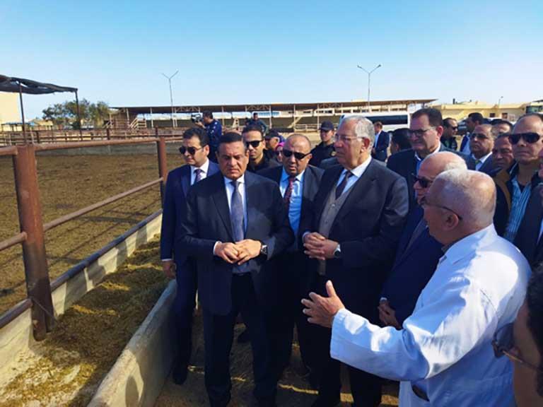 وزيرا الزراعة والتنمية المحلية يشيدان بمحطة تسمين الماشية ببورسعيد