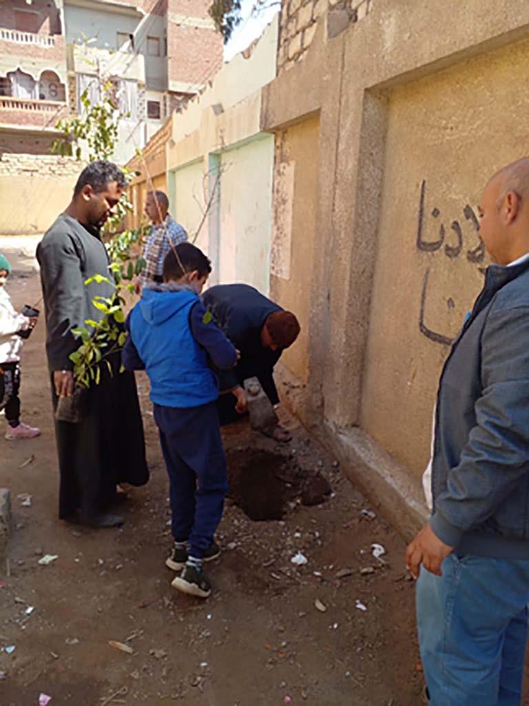 زراعة أشجار مثمرة في قرى ديرمواس وسمالوط بالمنيا