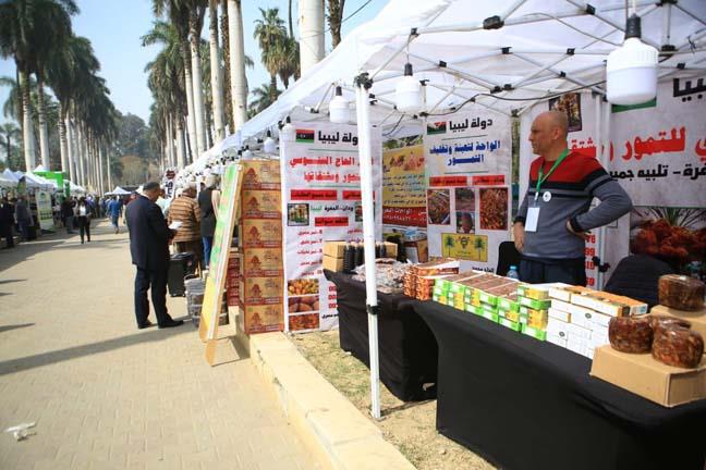 أمين الاتحاد العربي للتمور: مصر أكبر منتج في العالم بـ2 مليون طن سنويًا