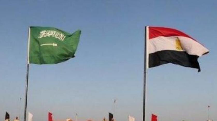 مفاوضات بين مصر والسعودية لمنع الازدواج الضريبي
