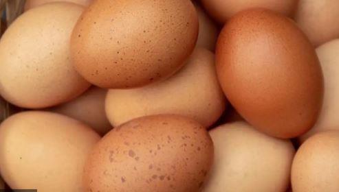 البقع الغريبة على قشر البيض