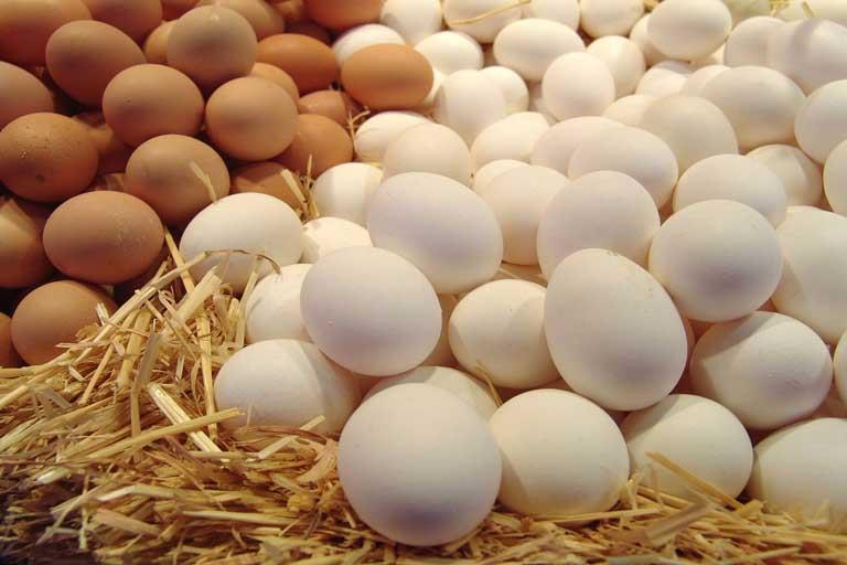 سعر البيض الأبيض يعود للارتفاع في تعاملات اليوم الجمعة
