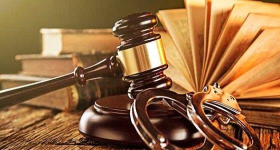 اليوم.. استكمال محاكمة البلوجر لوشا في قضية الخطف اليوم.. استكمال محاكمة البلوجر لوشا في قضية الخطف