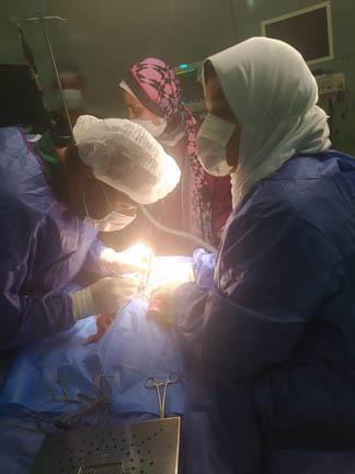 نجاح أول جراحة بالحبل الشوكي لرضيع في الإسكندرية (1)_1