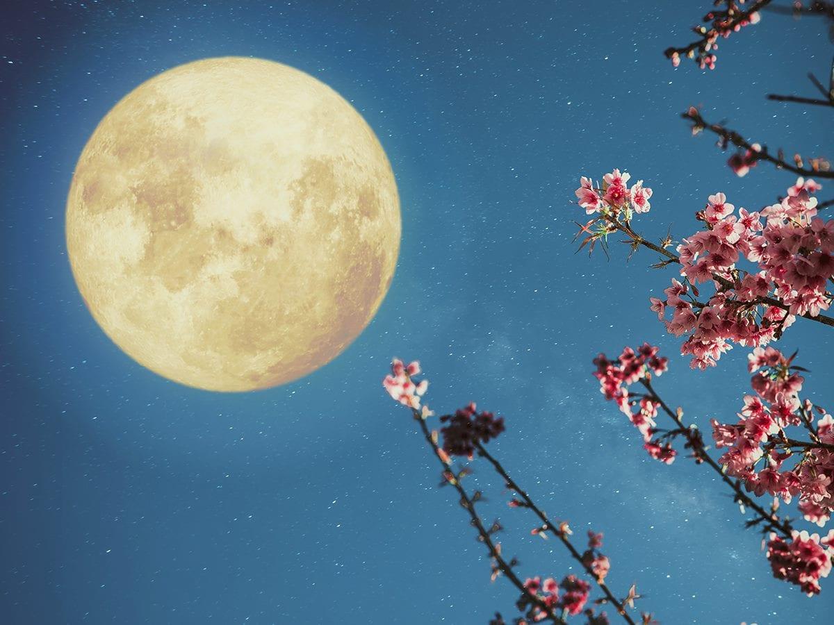 القمر الوردي صورة أرشيفية