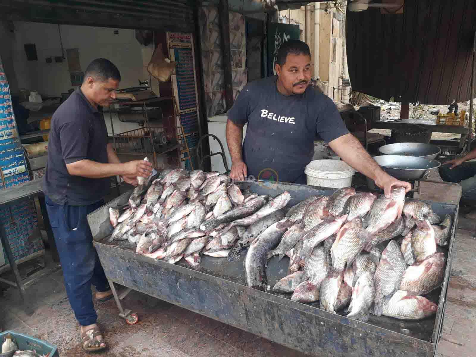سوق الأسماك في أسوان