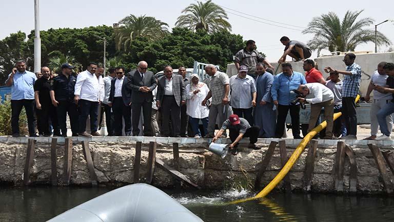 زريعة سمكية متنوعة بنهر النيل بمدينة قنا