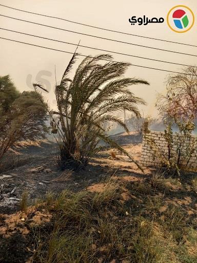 حريق بمركز بلاط بمنطقة الخوافة  (2)