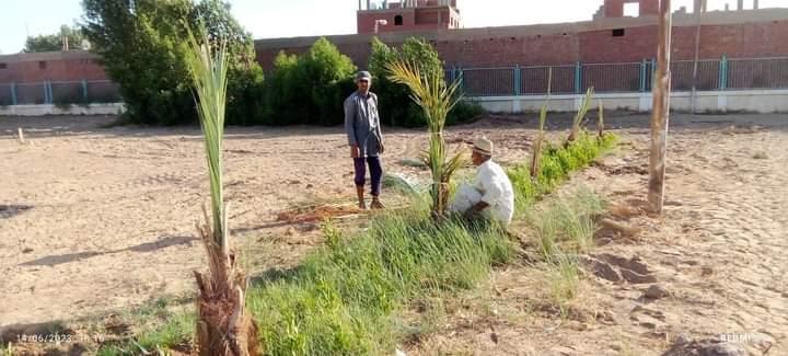 مراكز شباب الوادى الجديد تتزين باللون الاخضر ضمن مبادرة إزرع شجرة مثمرة (1)