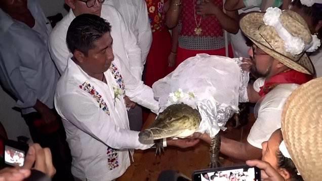أغرب من الخيال.. مسؤول مكسيكي يتزوج من تمساح والسبب غير متوقع