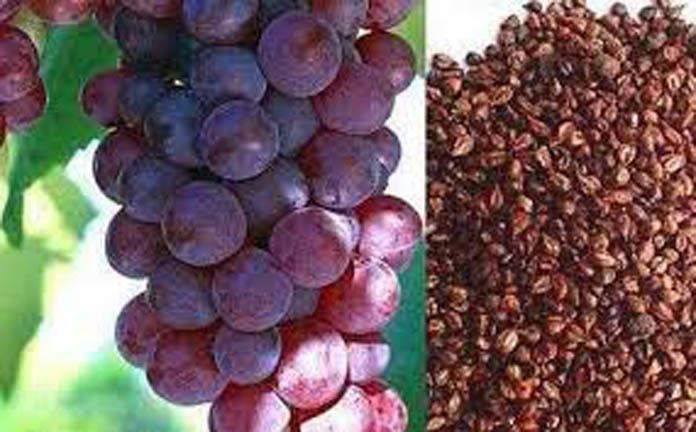 هل تناول بذور العنب مفيد صحيا أم لا؟ (2)