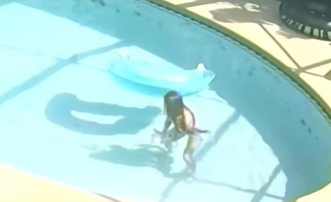 فتاة تغرق كلبها في حمام سباحة
