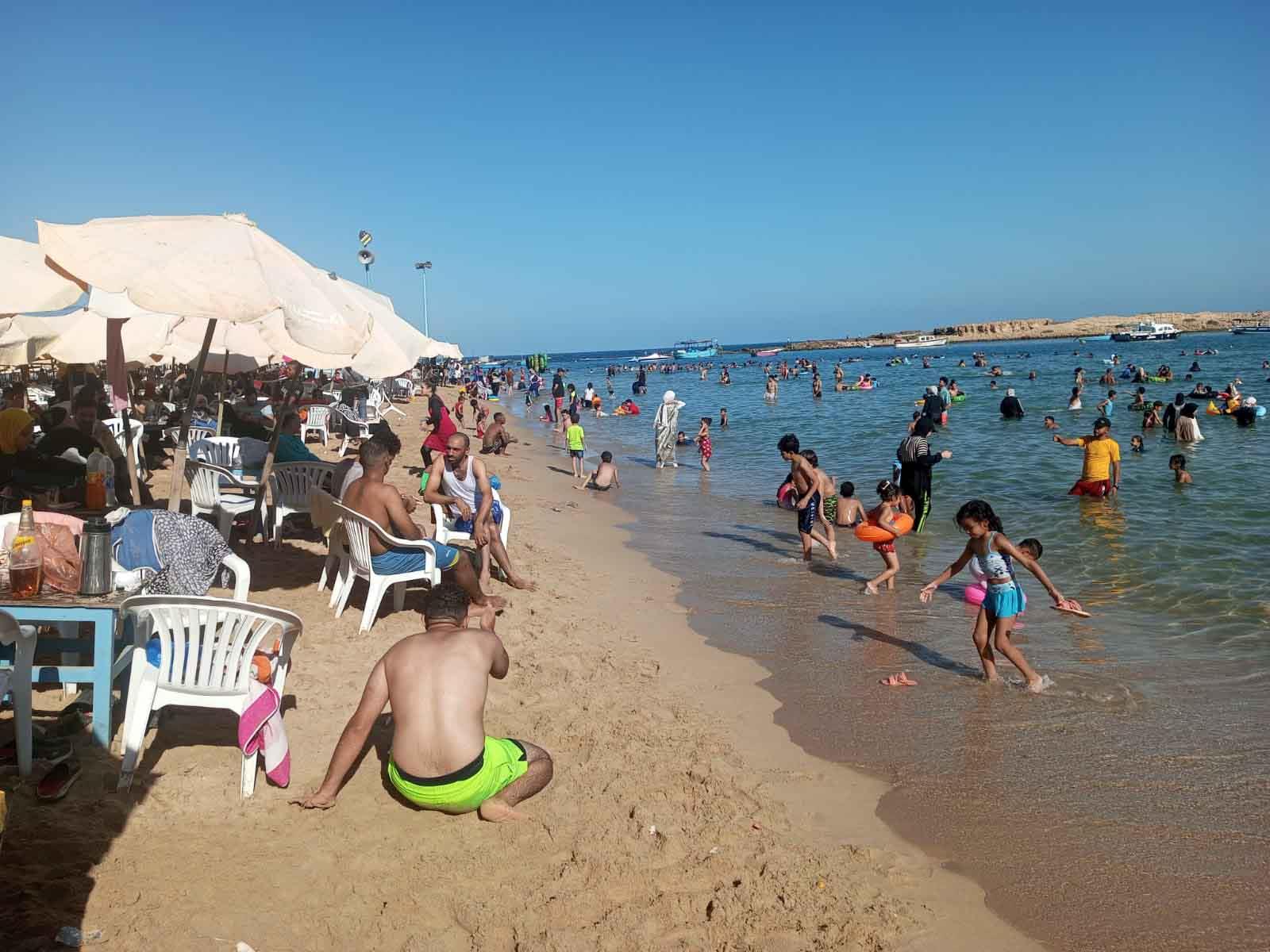 هدوء على شواطئ الإسكندرية 