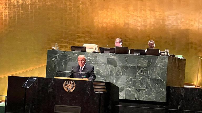 كلمة مصر أمام الجمعية العامة للأمم المتحدة 