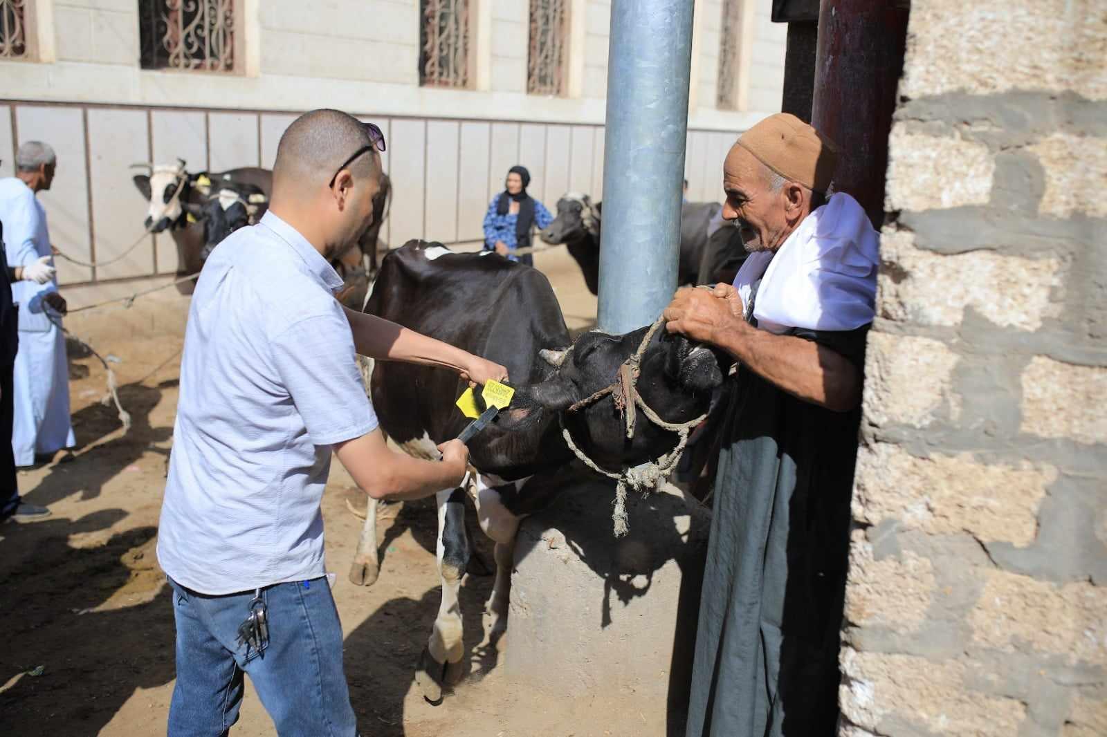 قافلة بيطرية مجانية