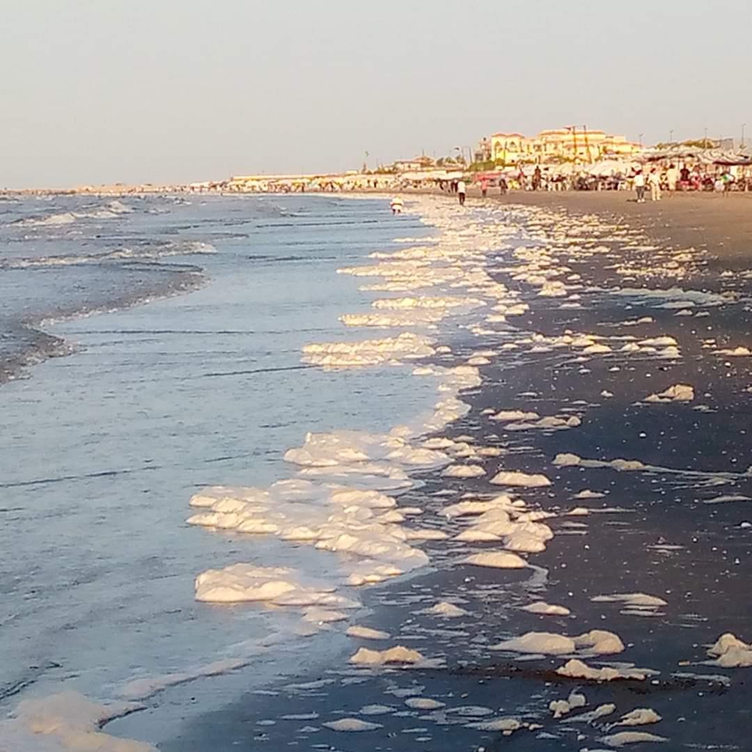 زبد البحر على شواطئ بورسعيد