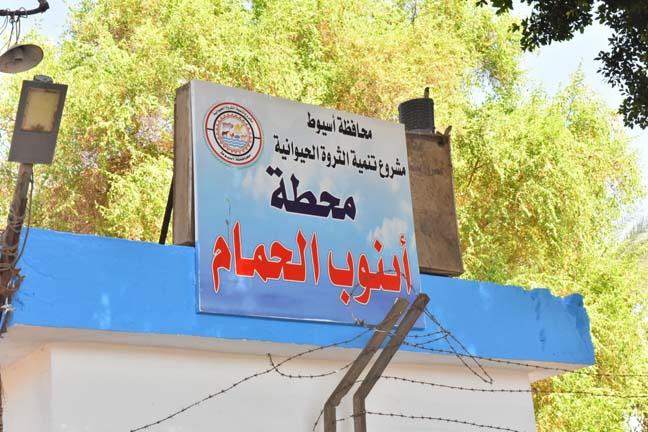 محافظ أسيوط يتفقد مزرعتي بنى مر وأبنوب الحمام لمتابعة سير العمل وأعمال التطوير الجارية (8)