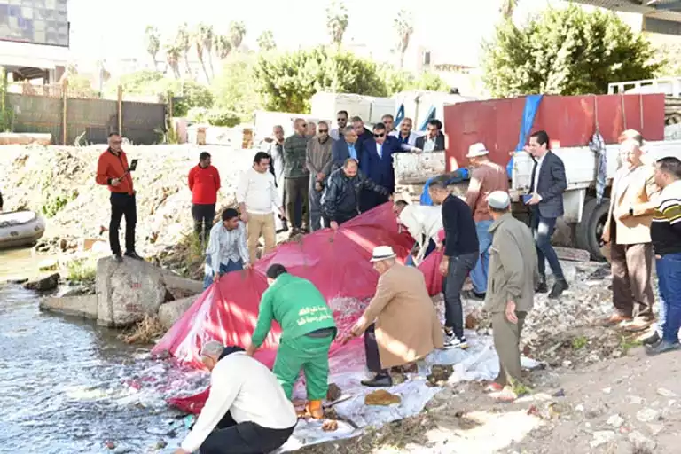 إلقاء أول دفعة زريعة سمكية فى النيل بالمنصورة (2)