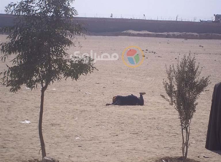 نساء يتدحرجن على الرمال في المنيا (3)