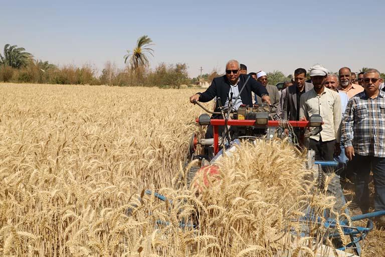 محافظ الوادي الجديد يقود حصادة القمح