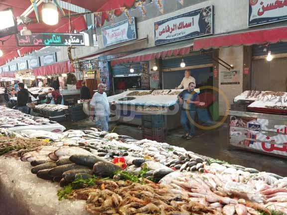 سوق الأسماك الحضاري (1)