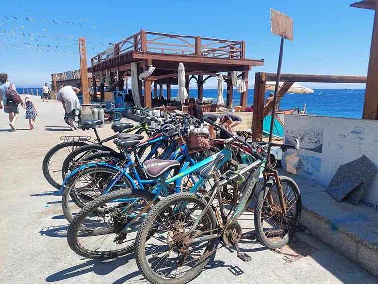 الدراجات الهوائية بمدينة دهب